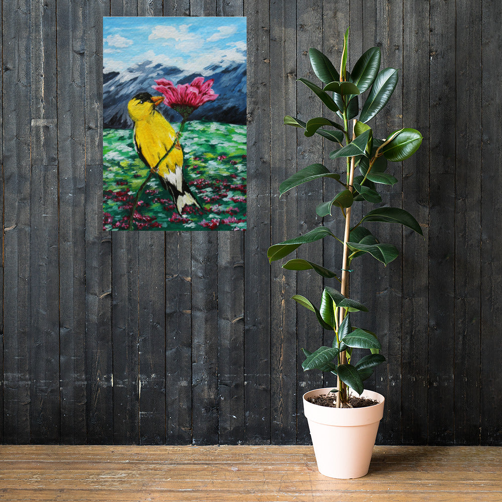 Goldfinch on a Zinnia Matte Poster