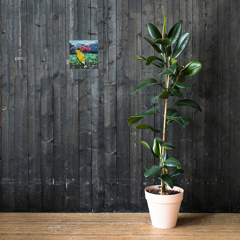 Goldfinch on a Zinnia Matte Poster