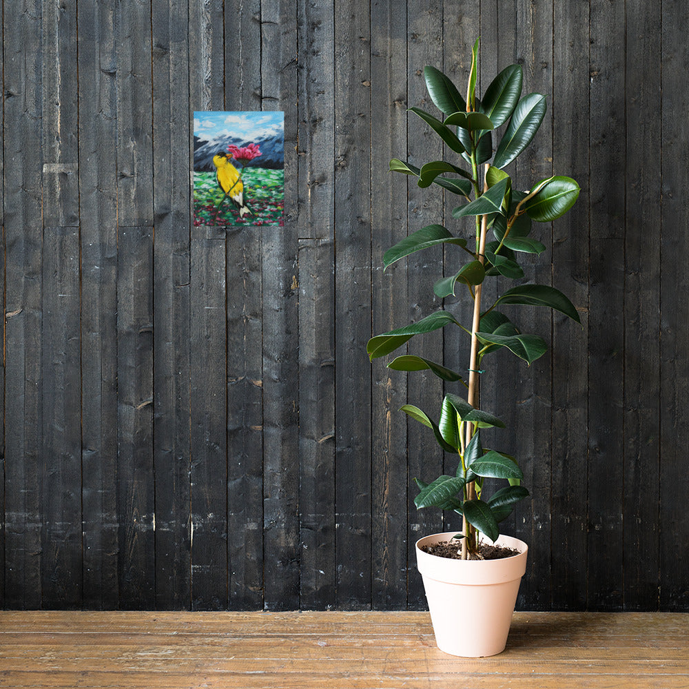 Goldfinch on a Zinnia Matte Poster