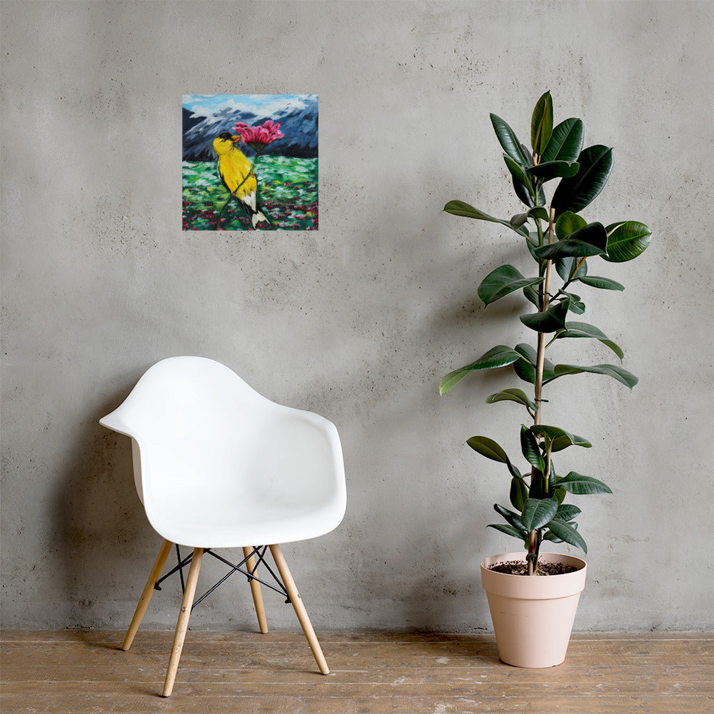 Goldfinch on a Zinnia Matte Poster