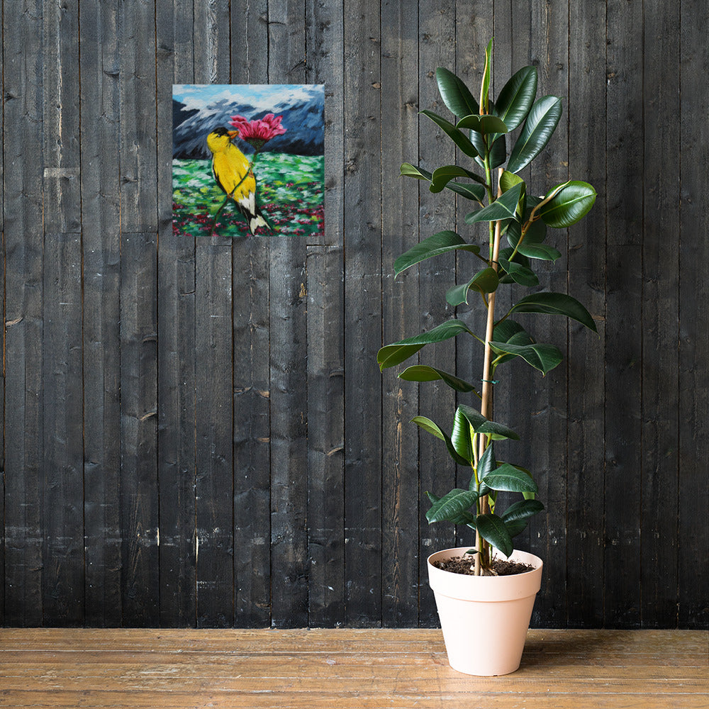Goldfinch on a Zinnia Matte Poster