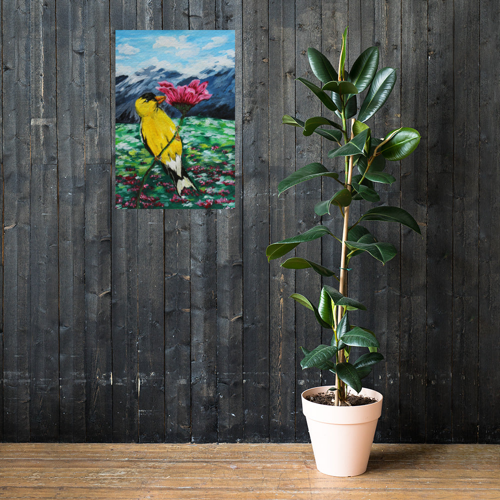 Goldfinch on a Zinnia Matte Poster