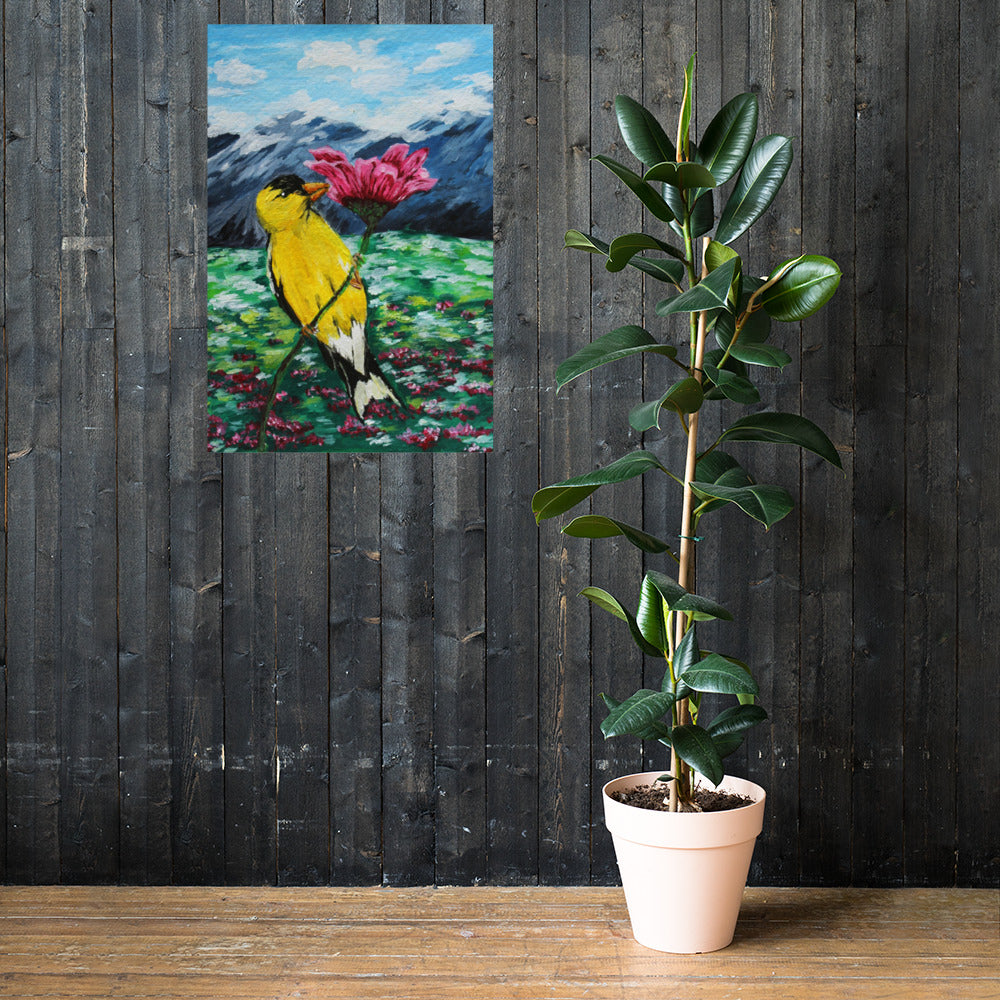 Goldfinch on a Zinnia Matte Poster