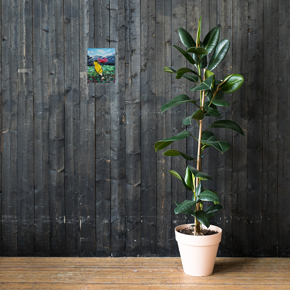 Goldfinch on a Zinnia Matte Poster