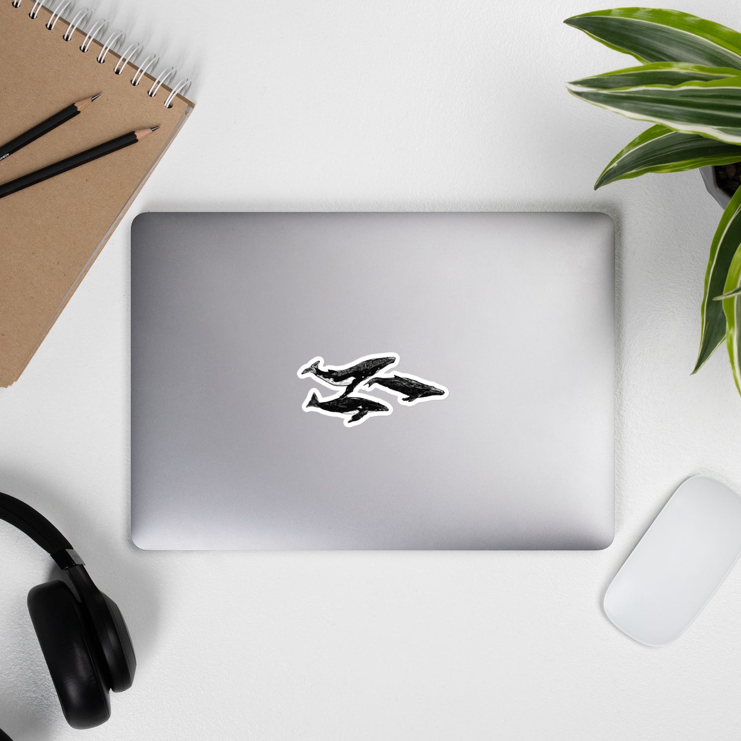 Humpback Migration Stickers