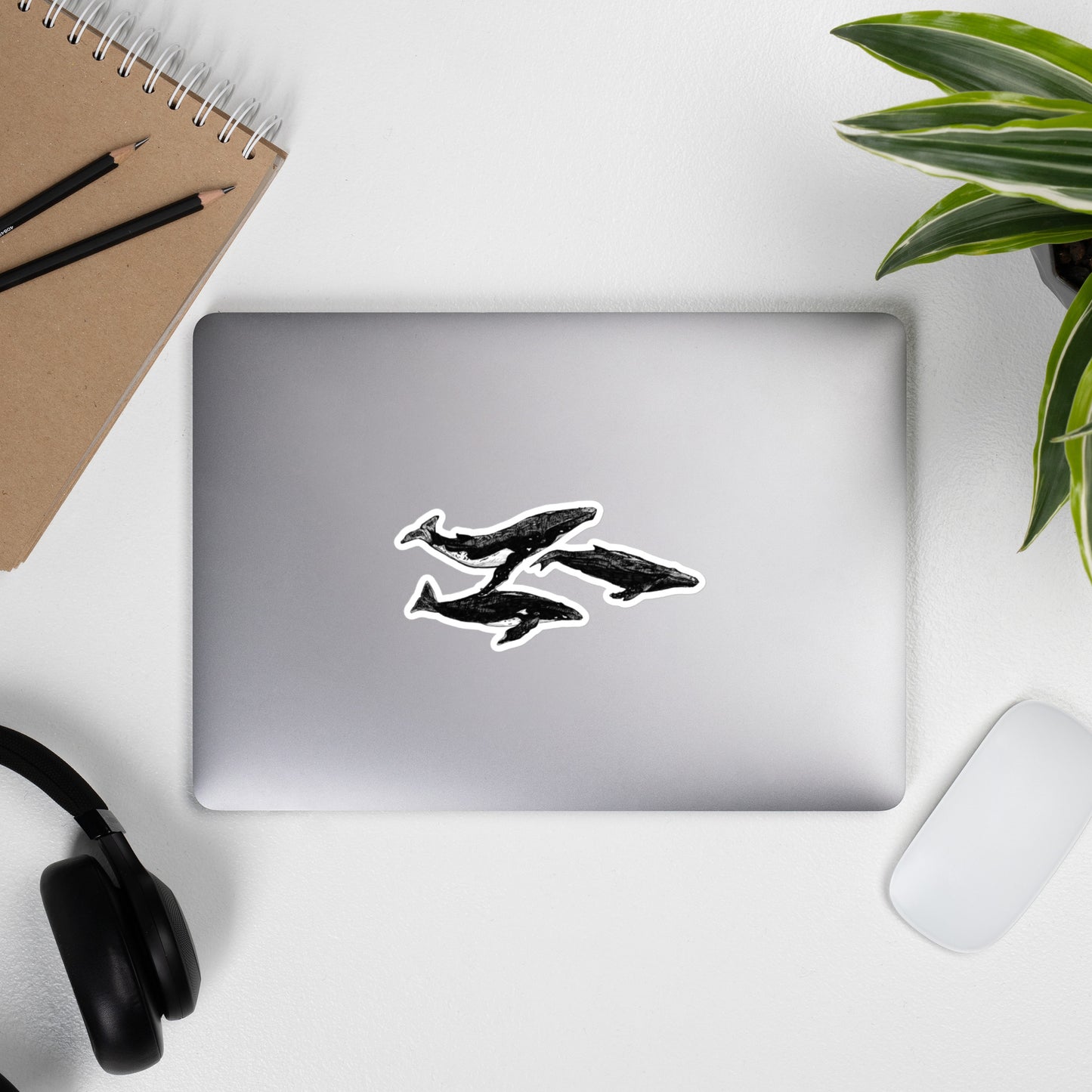 Humpback Migration Stickers