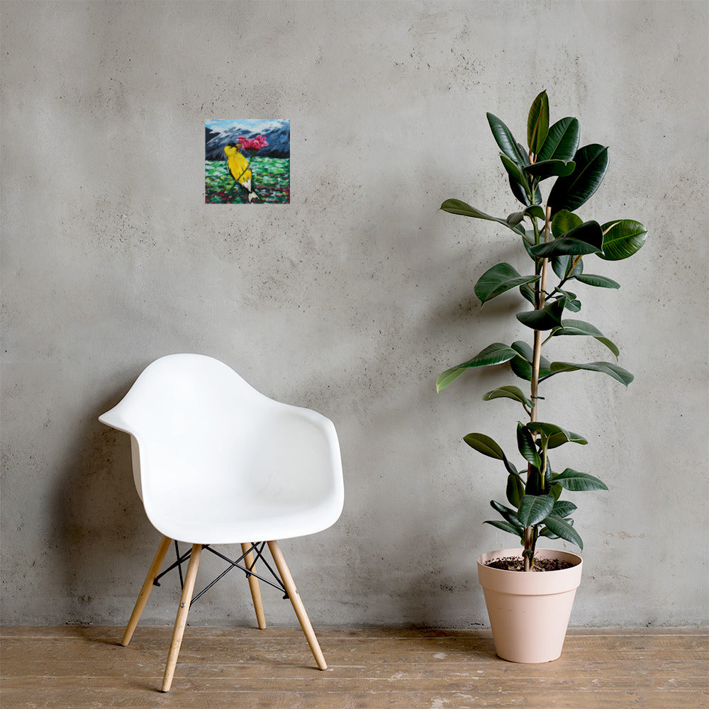 Goldfinch on a Zinnia Photo paper poster