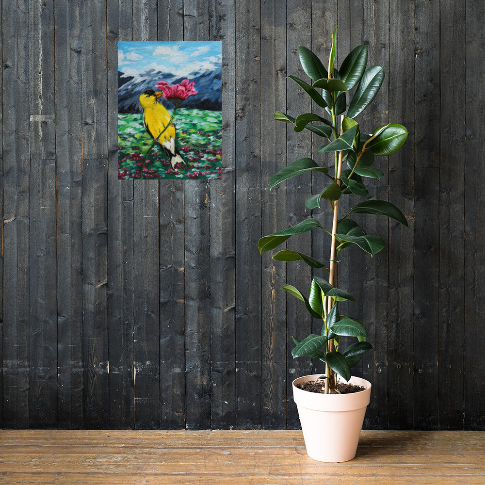 Goldfinch on a Zinnia Photo paper poster