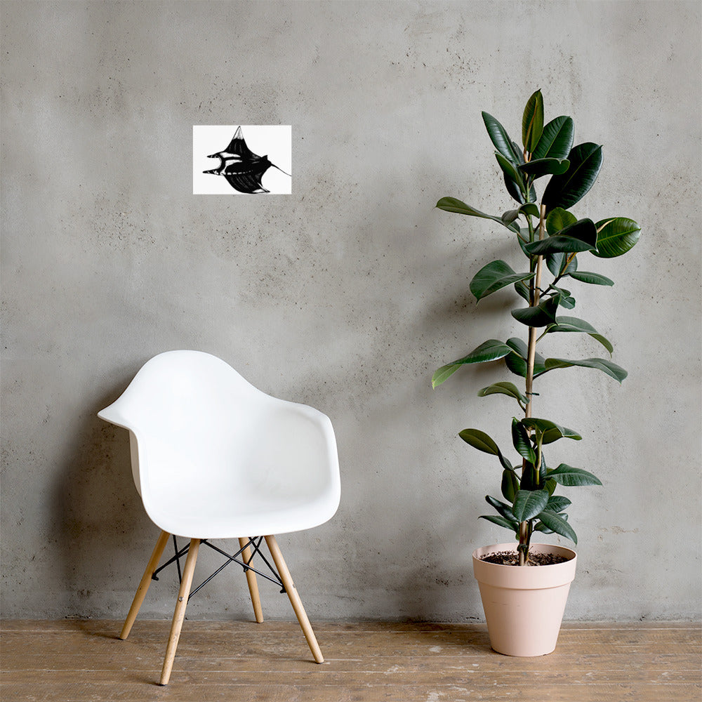 Manta Ray Matte Poster
