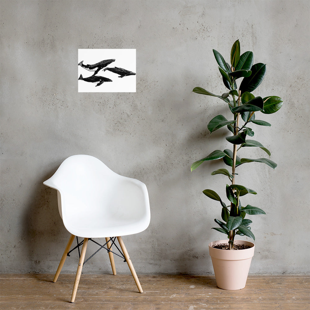 Humpback Migration Matte Poster