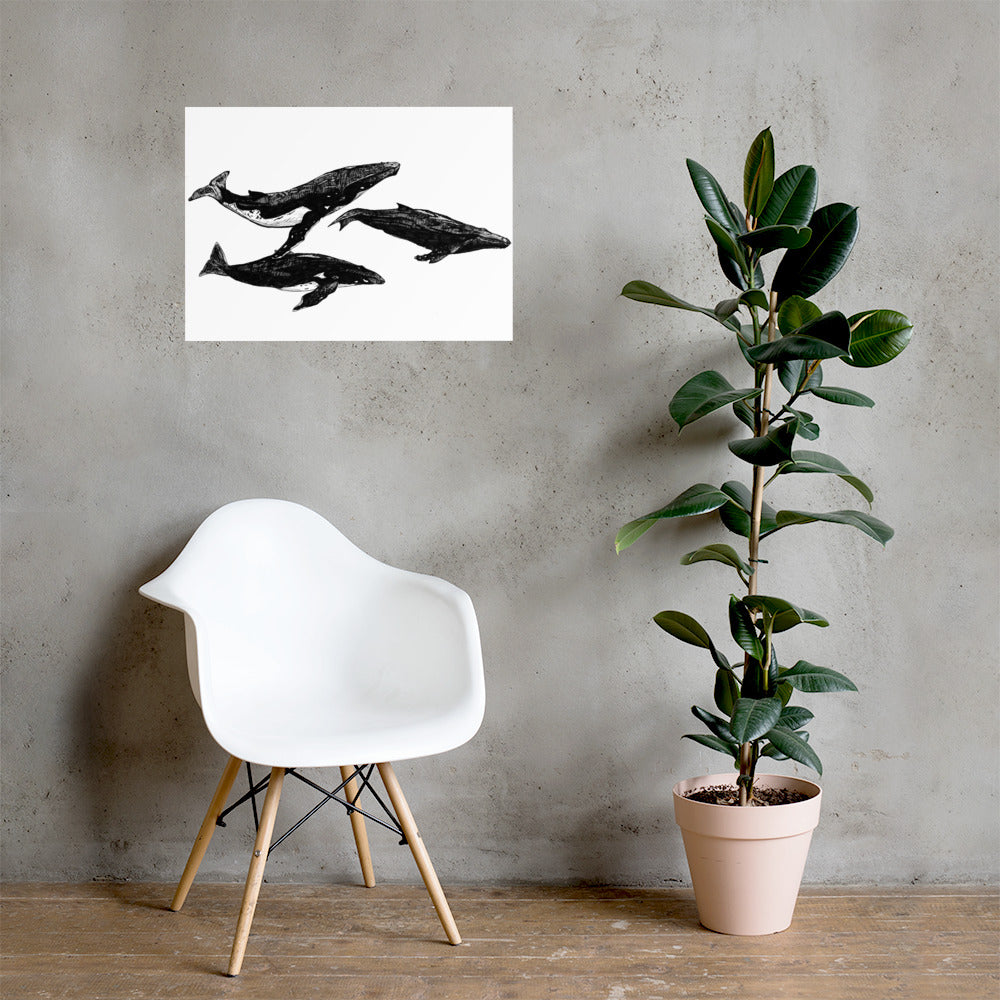 Humpback Migration Matte Poster