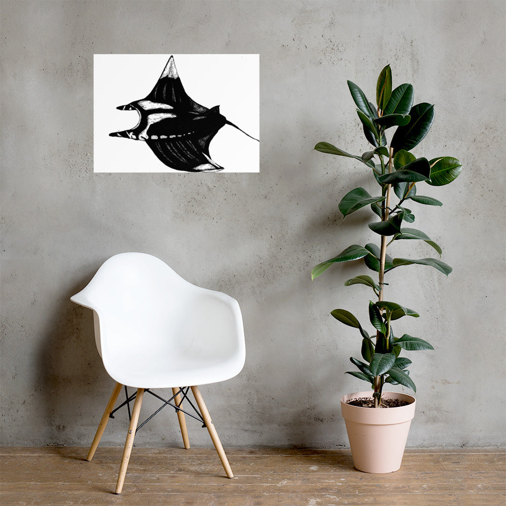 Manta Ray Matte Poster