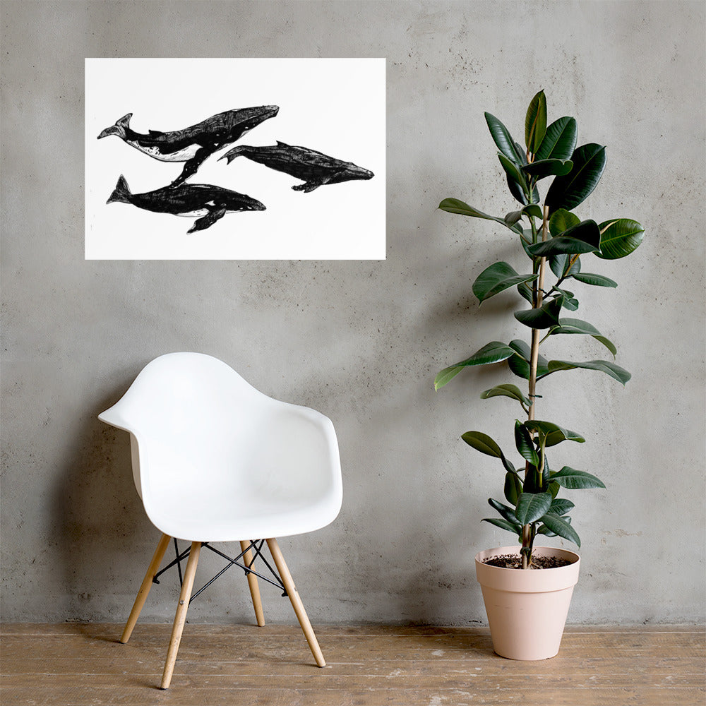 Humpback Migration Matte Poster