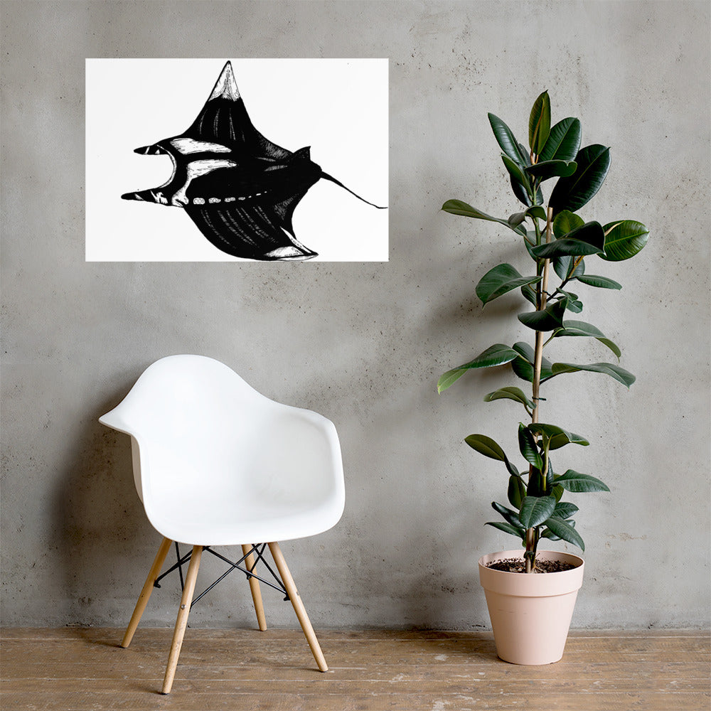 Manta Ray Matte Poster