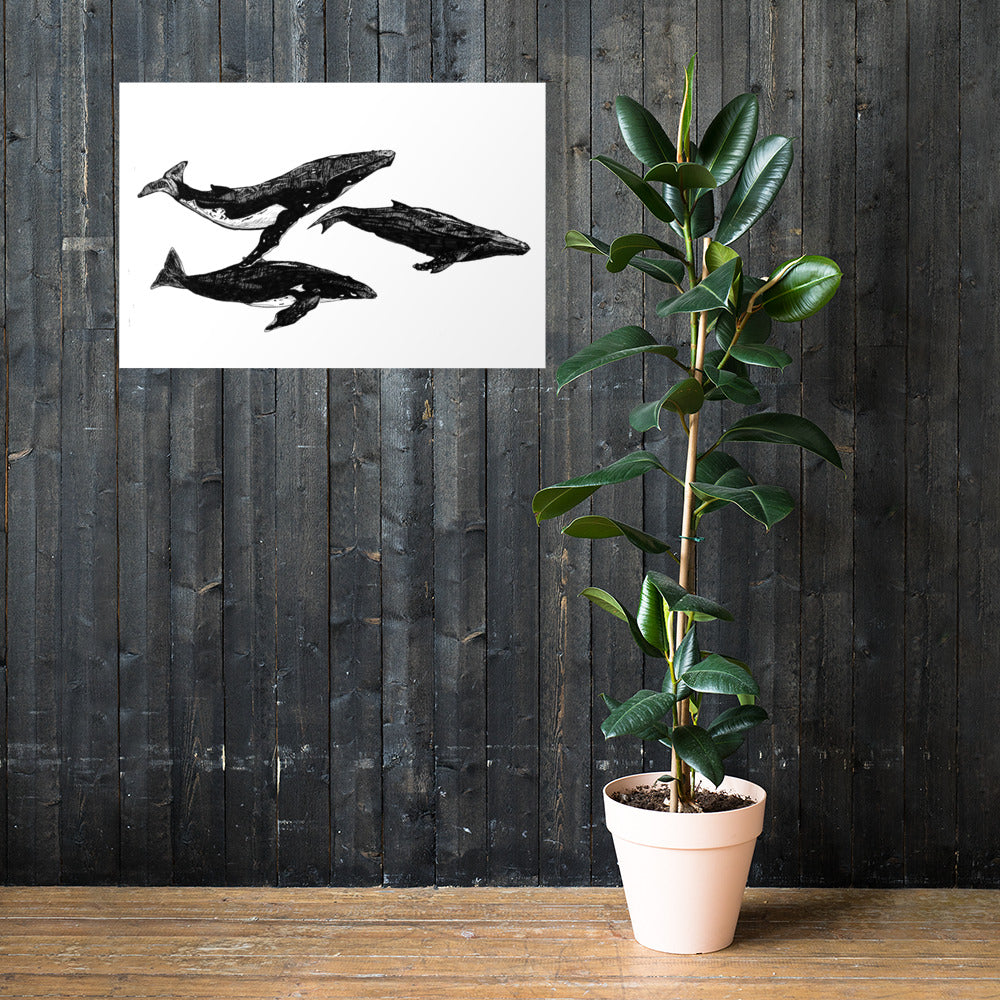Humpback Migration Matte Poster