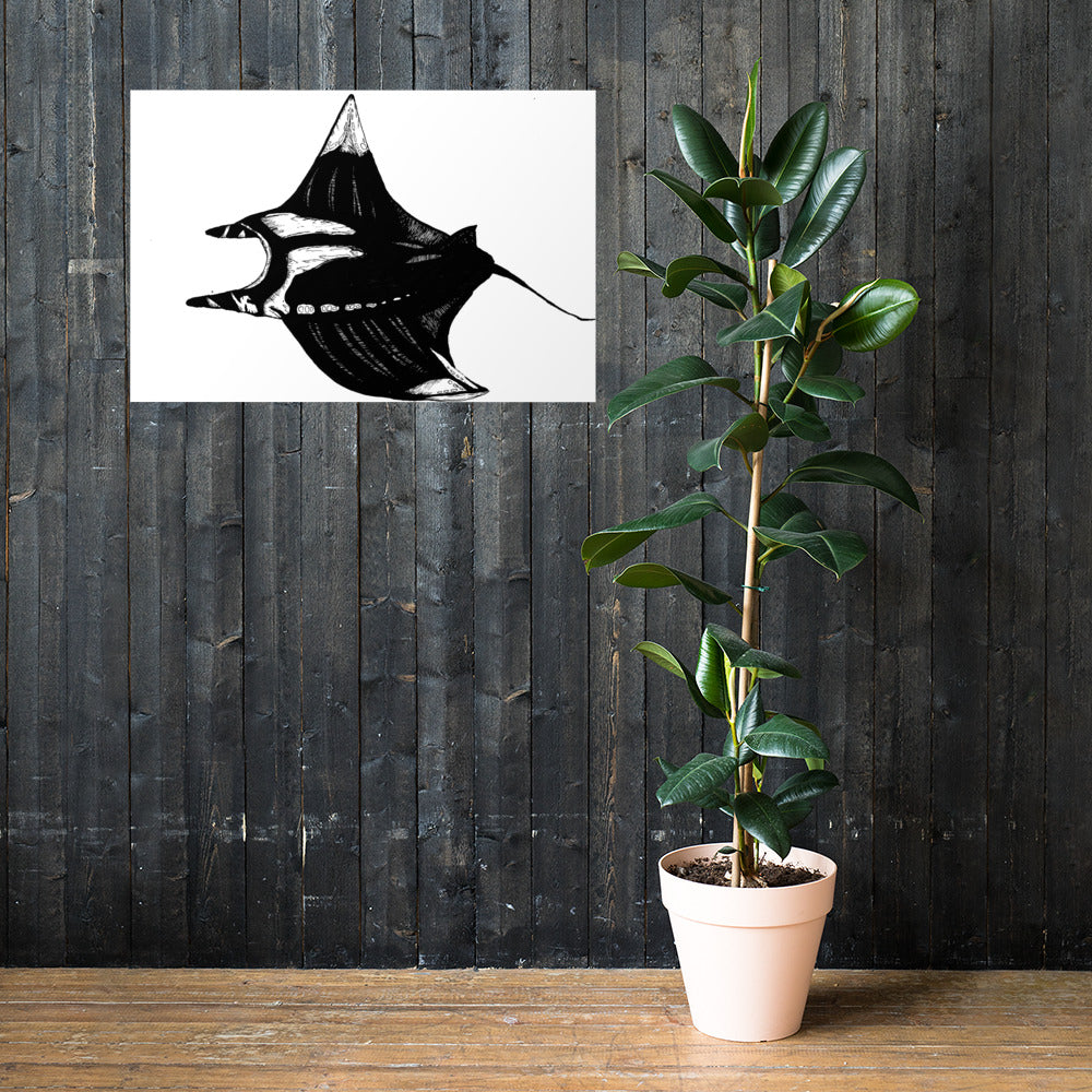 Manta Ray Matte Poster