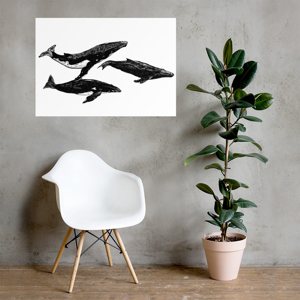 Humpback Migration Matte Poster