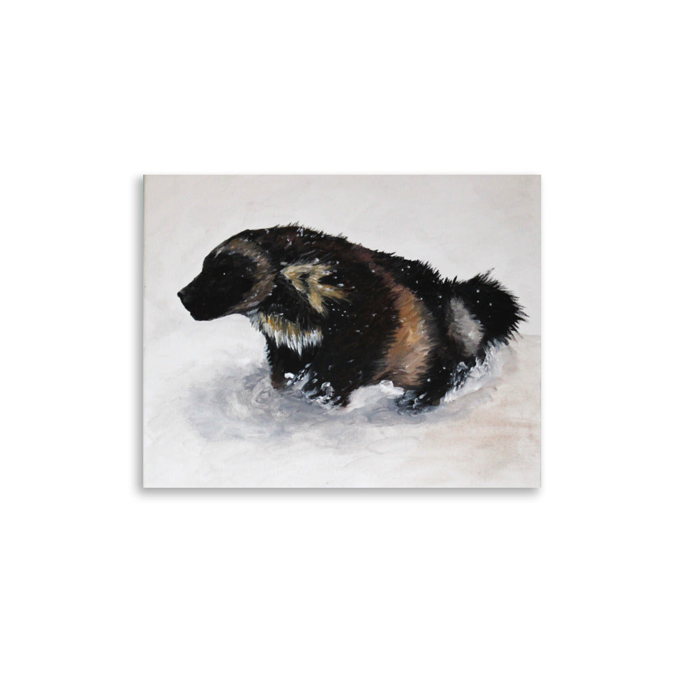 Snowy Wolverine Matte Poster
