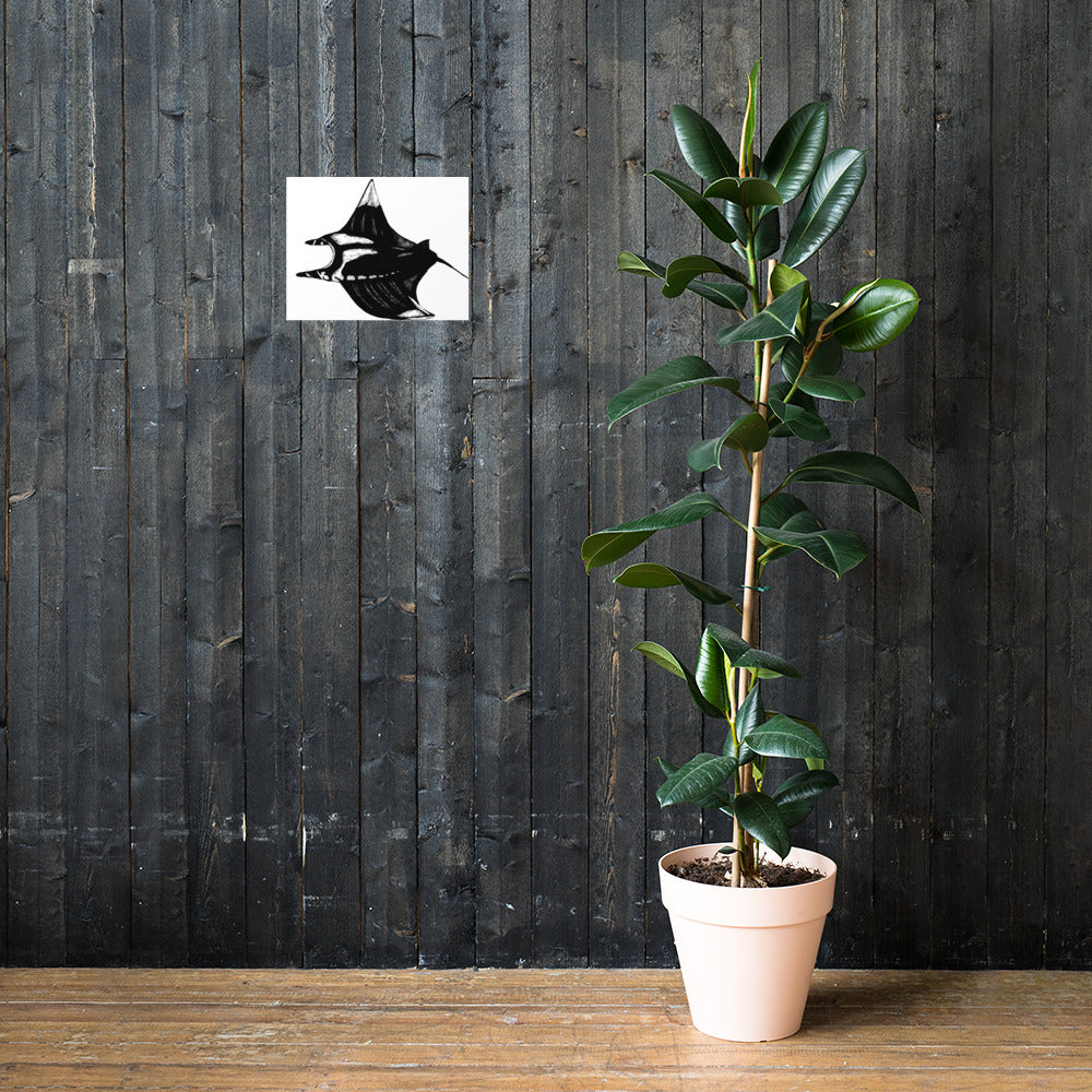 Manta Ray Matte Poster