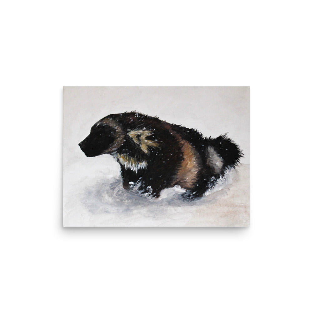 Snowy Wolverine Matte Poster