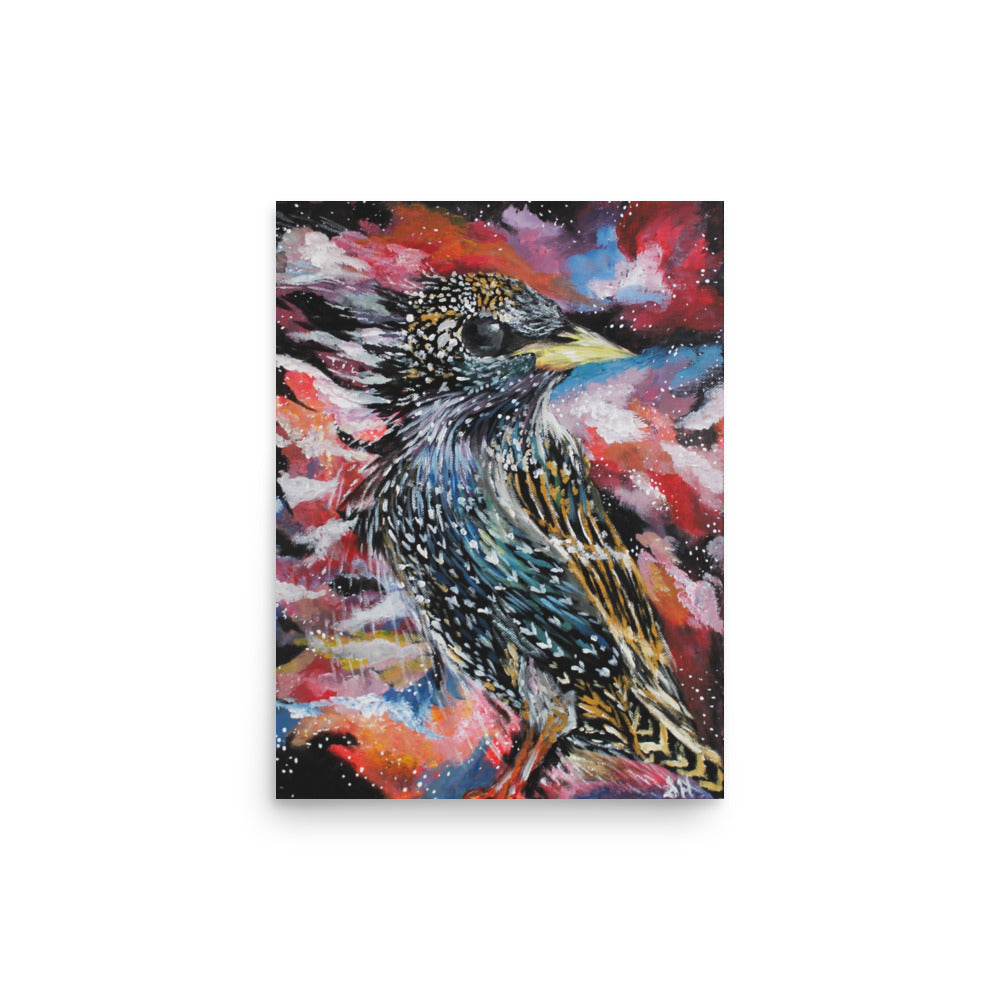 Starling Matte Poster