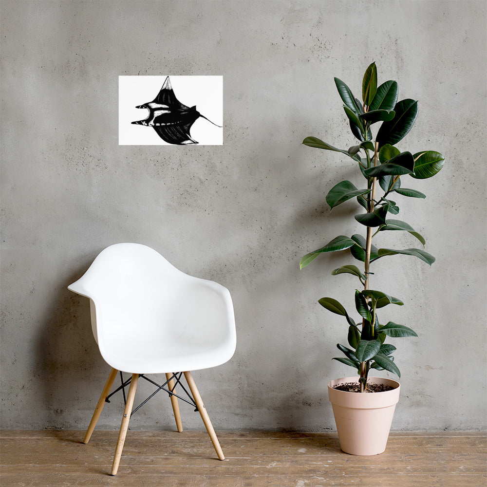 Manta Ray Matte Poster