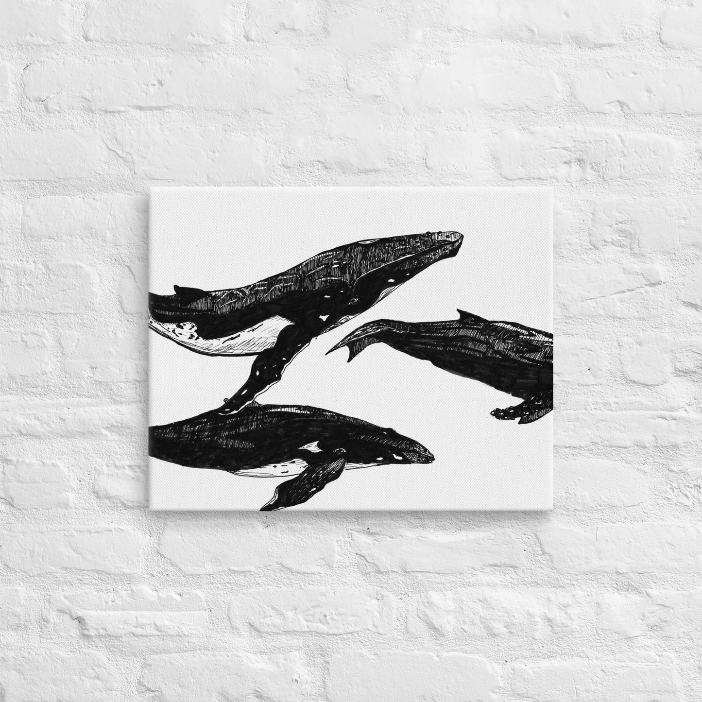 Humpback Migration Thin canvas