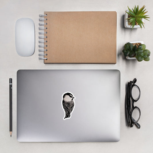Mountain Chickadee Stickers