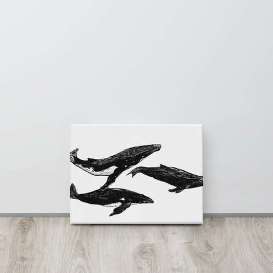 Humpback Migration Canvas