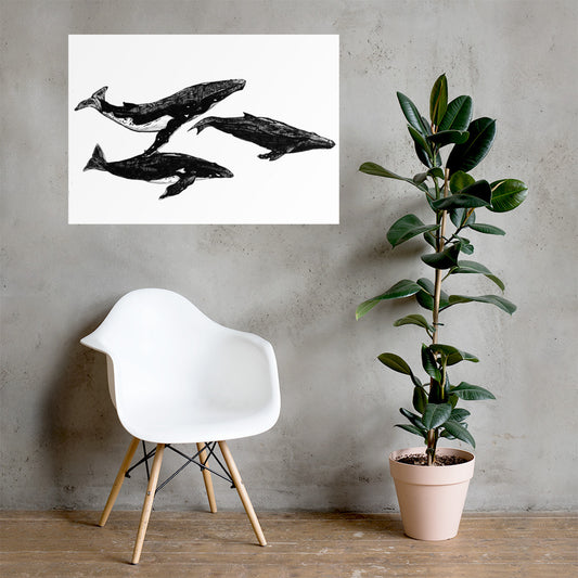 Humpback Migration Matte Poster