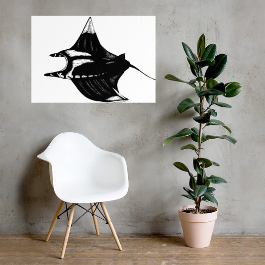 Manta Ray Matte Poster
