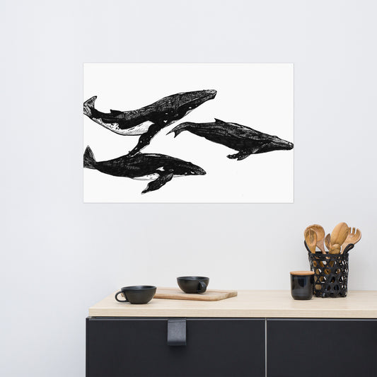 Humpback Migration Matte Poster