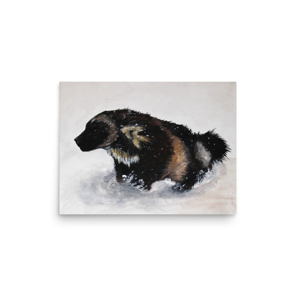 Snow Wolverine Photo paper poster