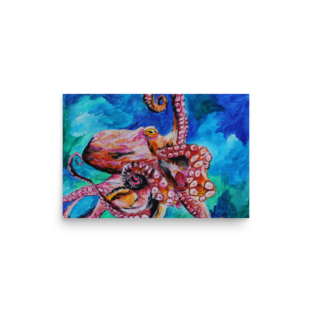Octopus Photo paper poster