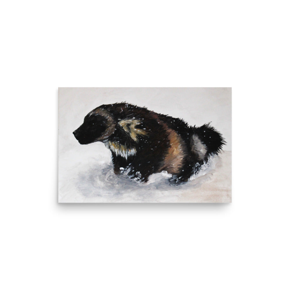 Snow Wolverine Photo paper poster