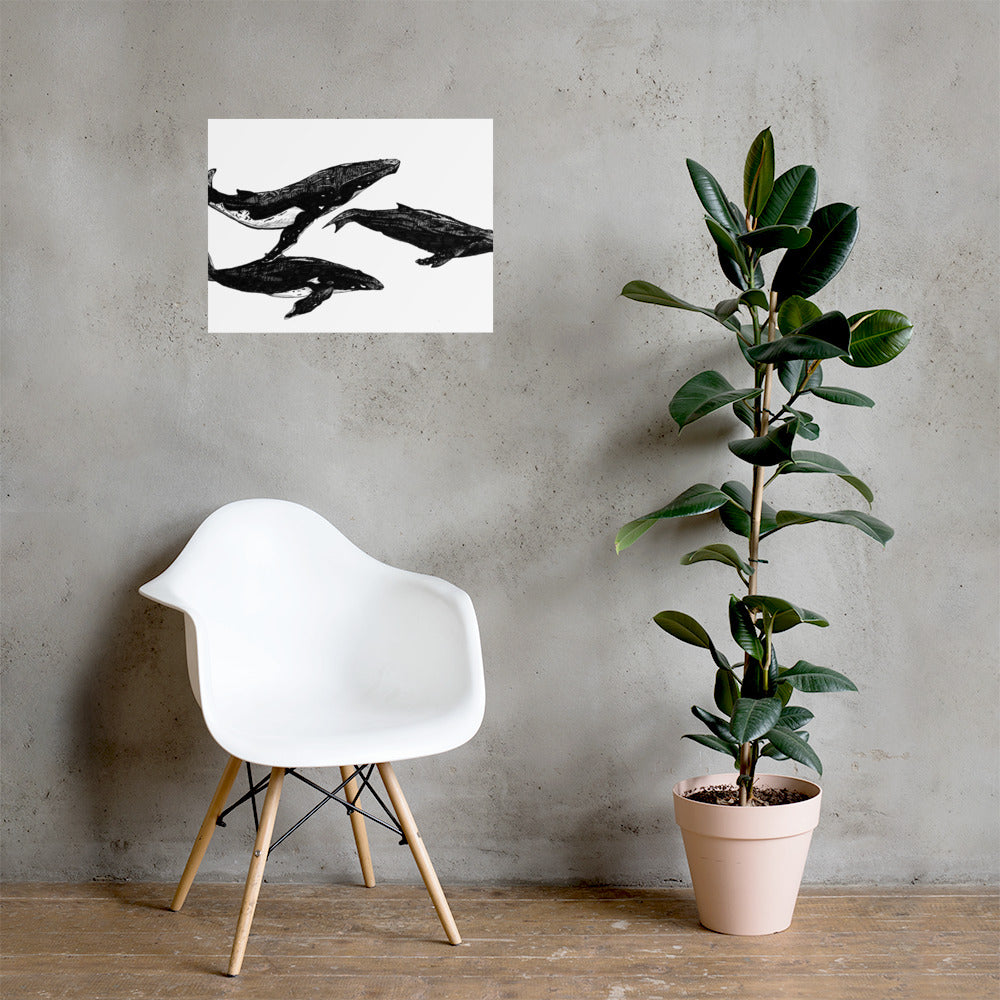 Humpback Migration Photo paper poster