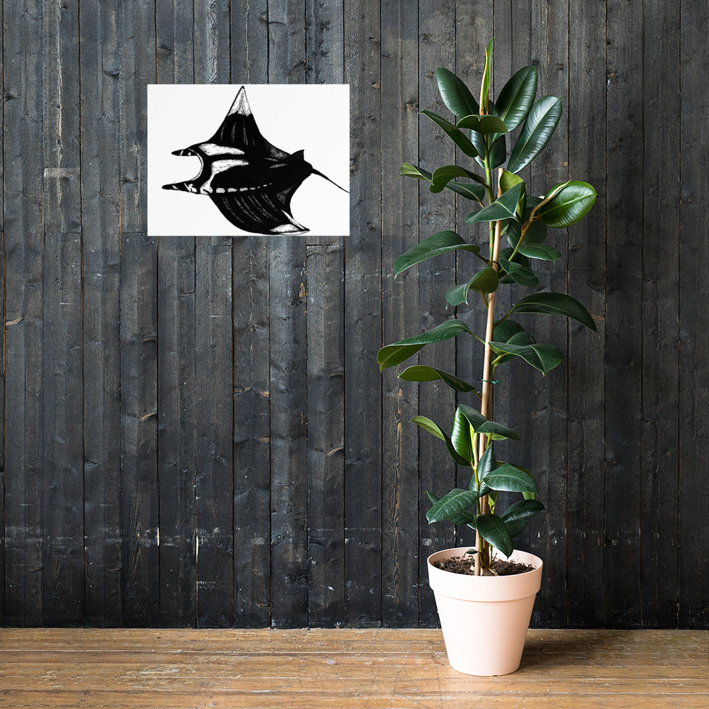Manta Ray Photo paper poster