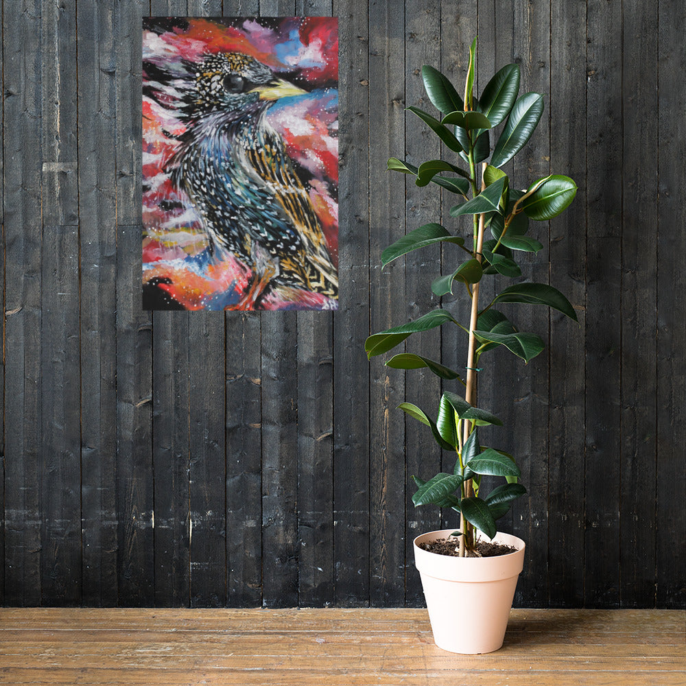 Starling Photo paper poster