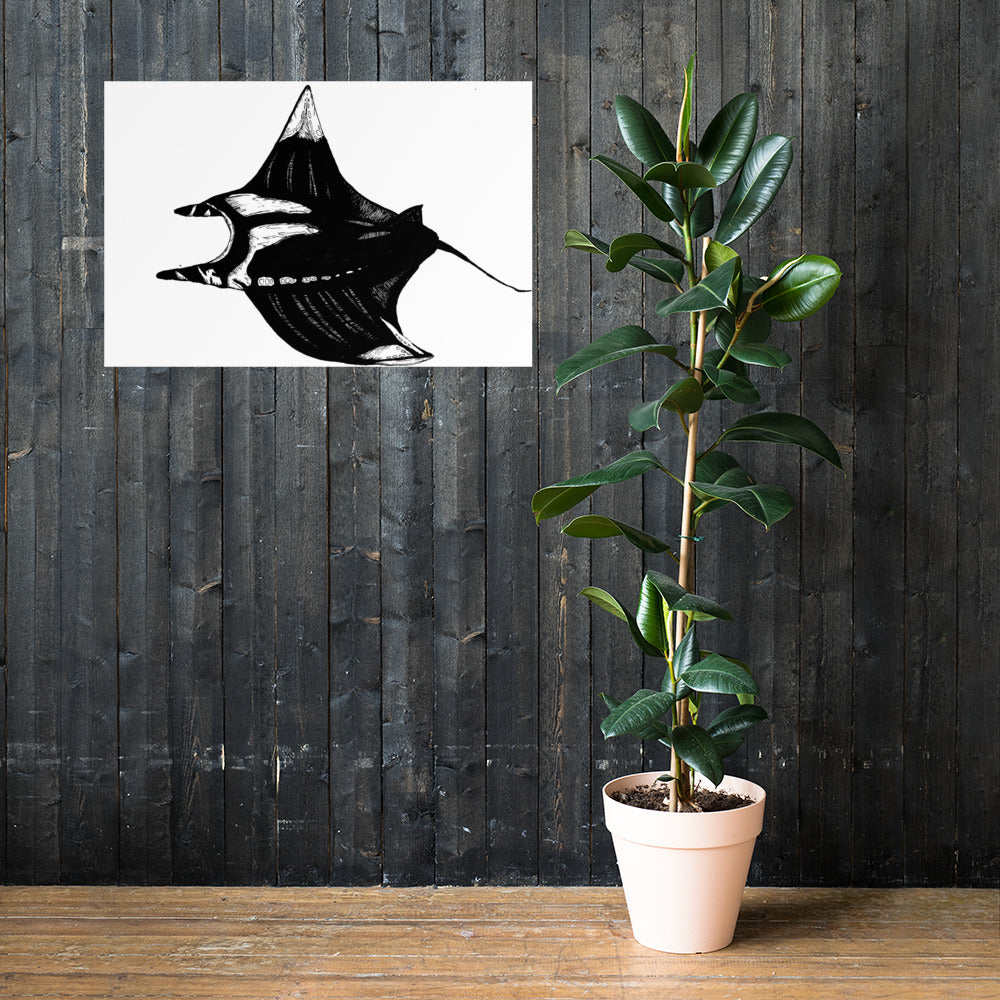 Manta Ray Photo paper poster