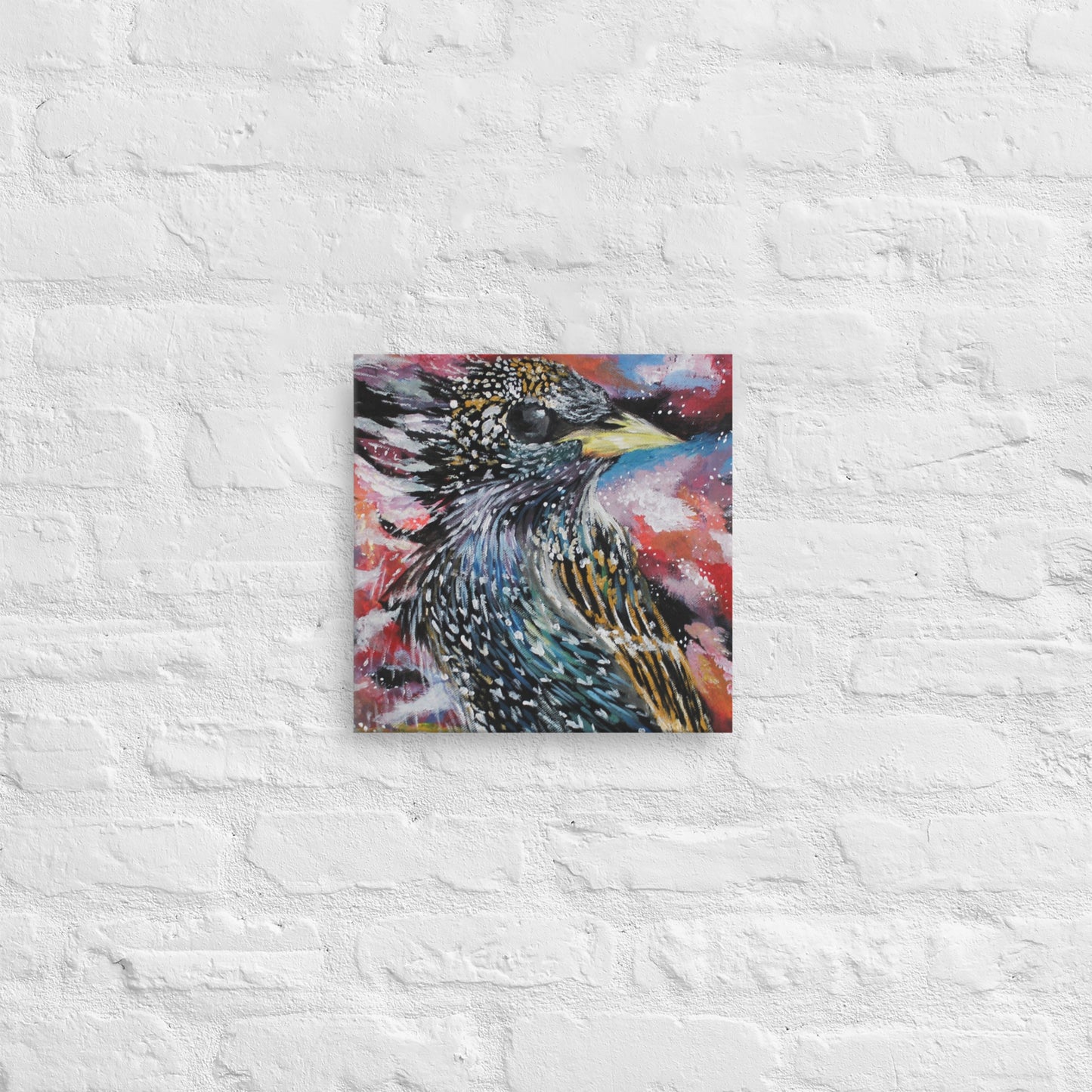 Starling Thin canvas