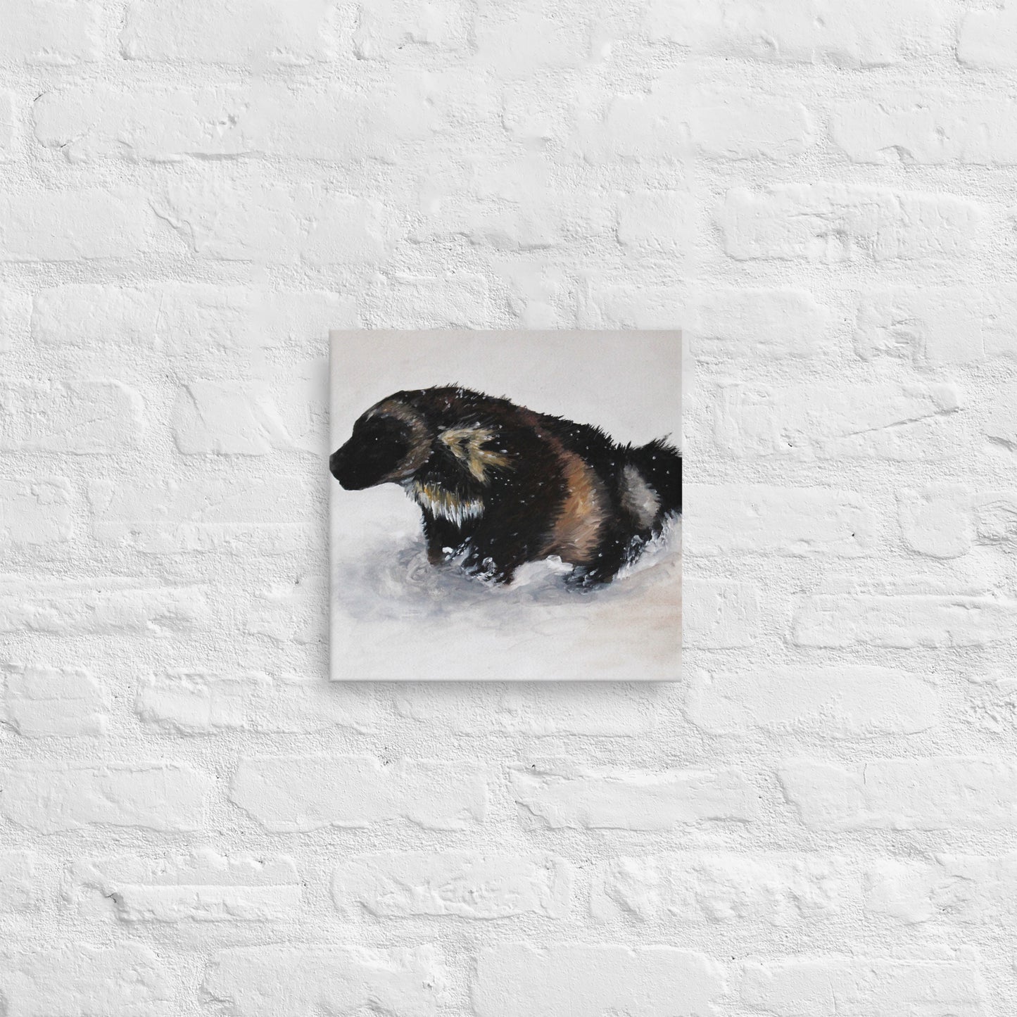 Snow Wolverine Thin canvas