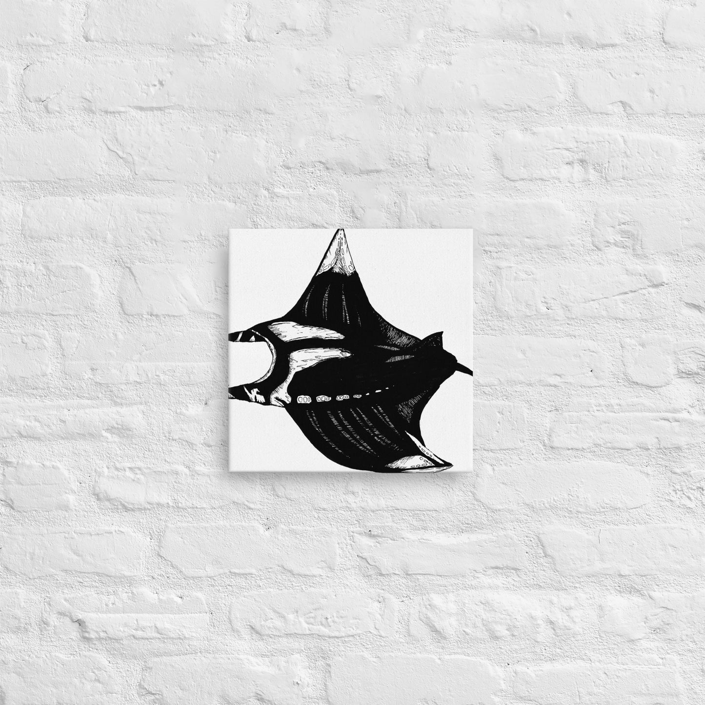 Manta Ray Thin canvas
