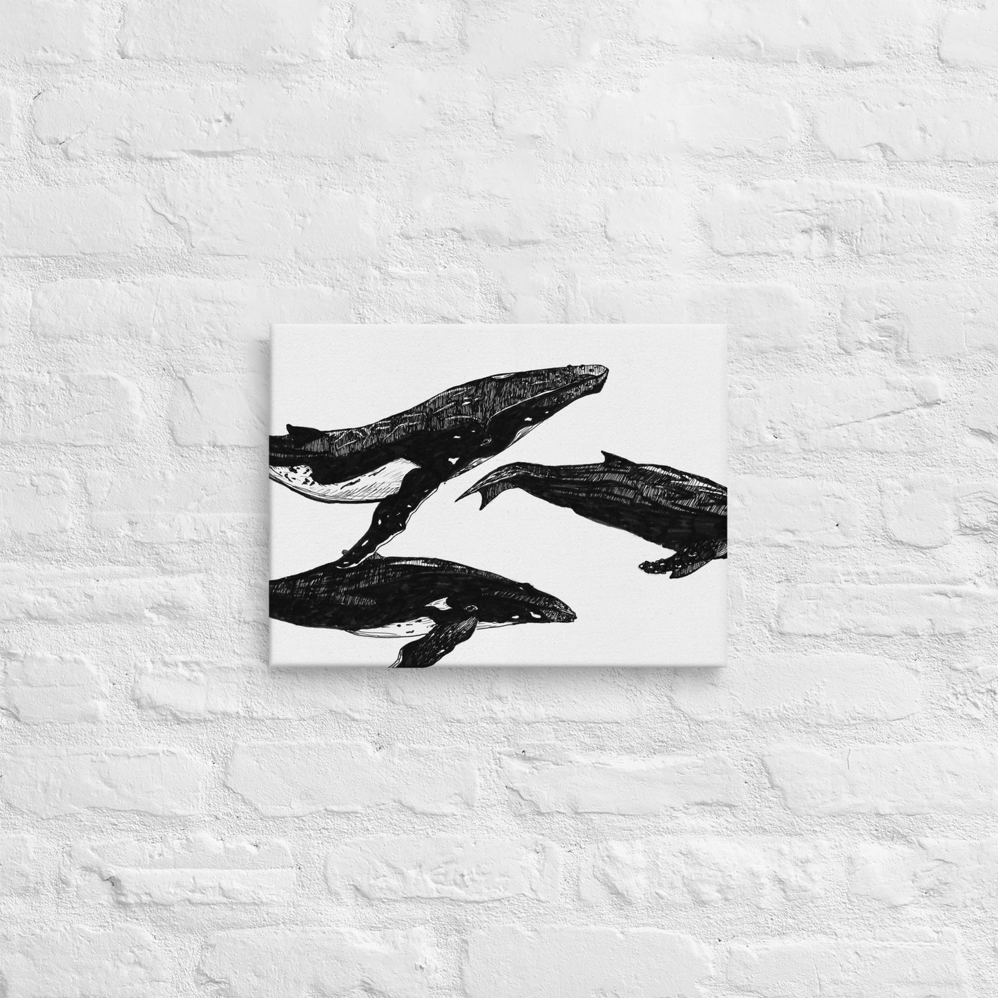 Humpback Migration Thin canvas