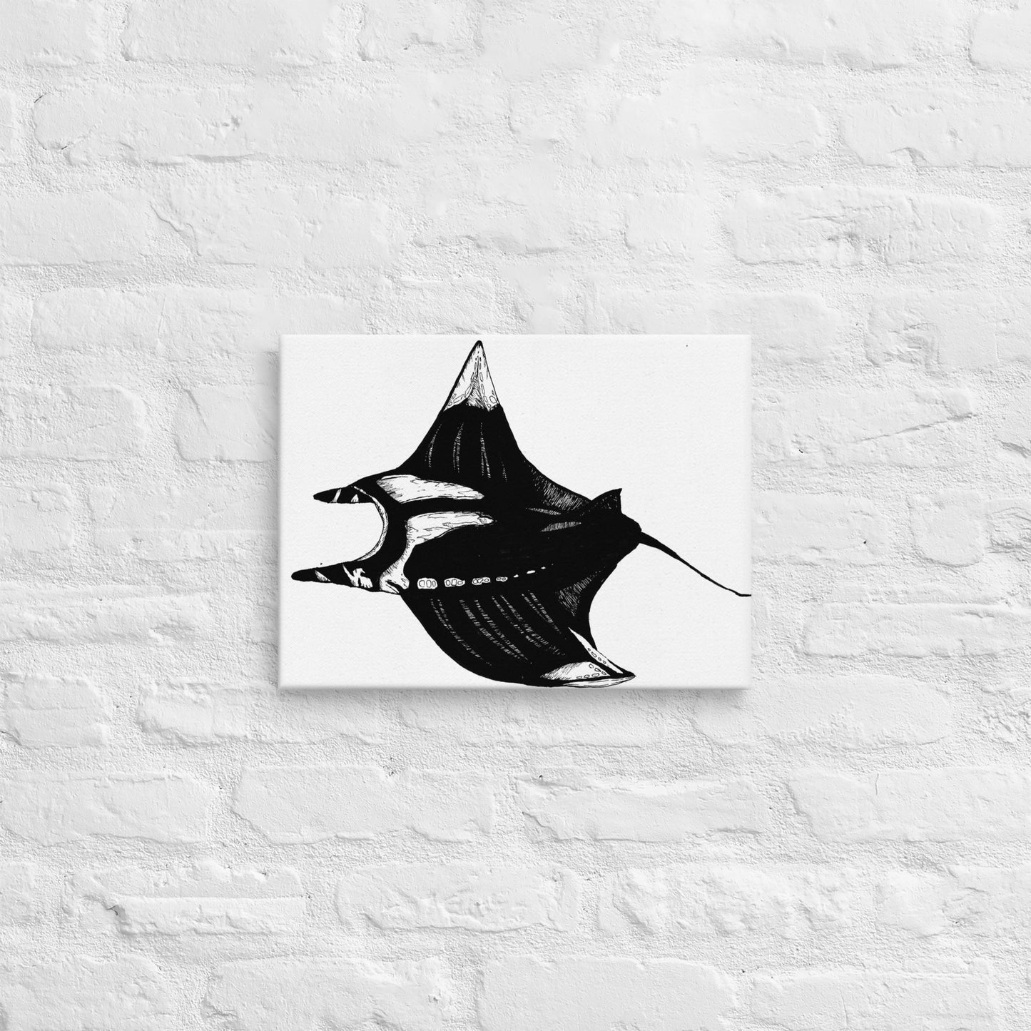 Manta Ray Thin canvas