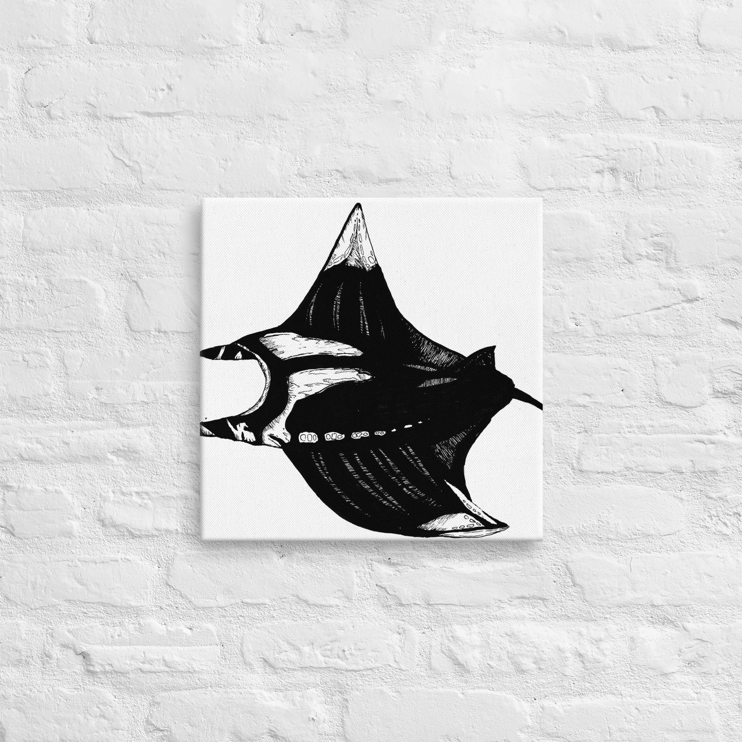 Manta Ray Thin canvas