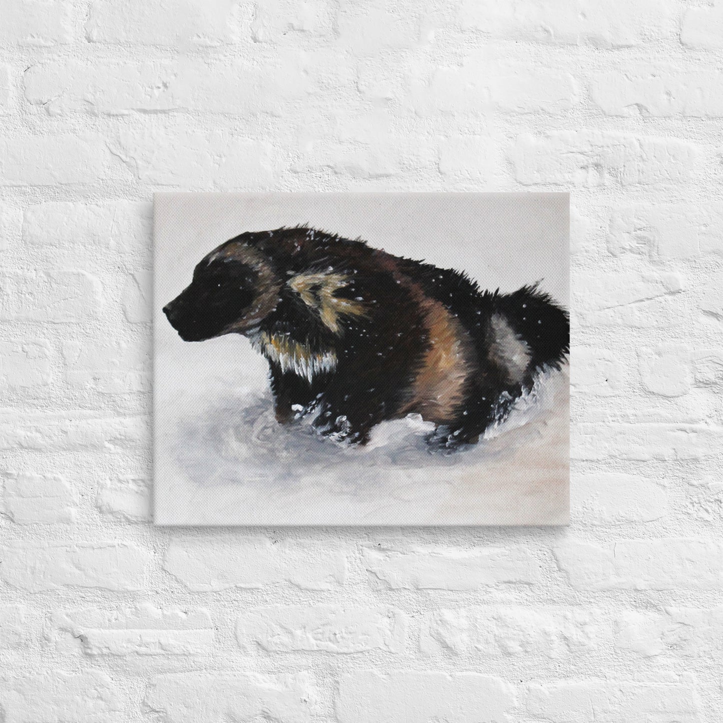 Snow Wolverine Thin canvas