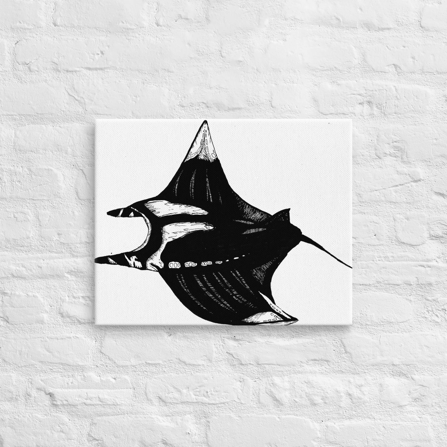 Manta Ray Thin canvas