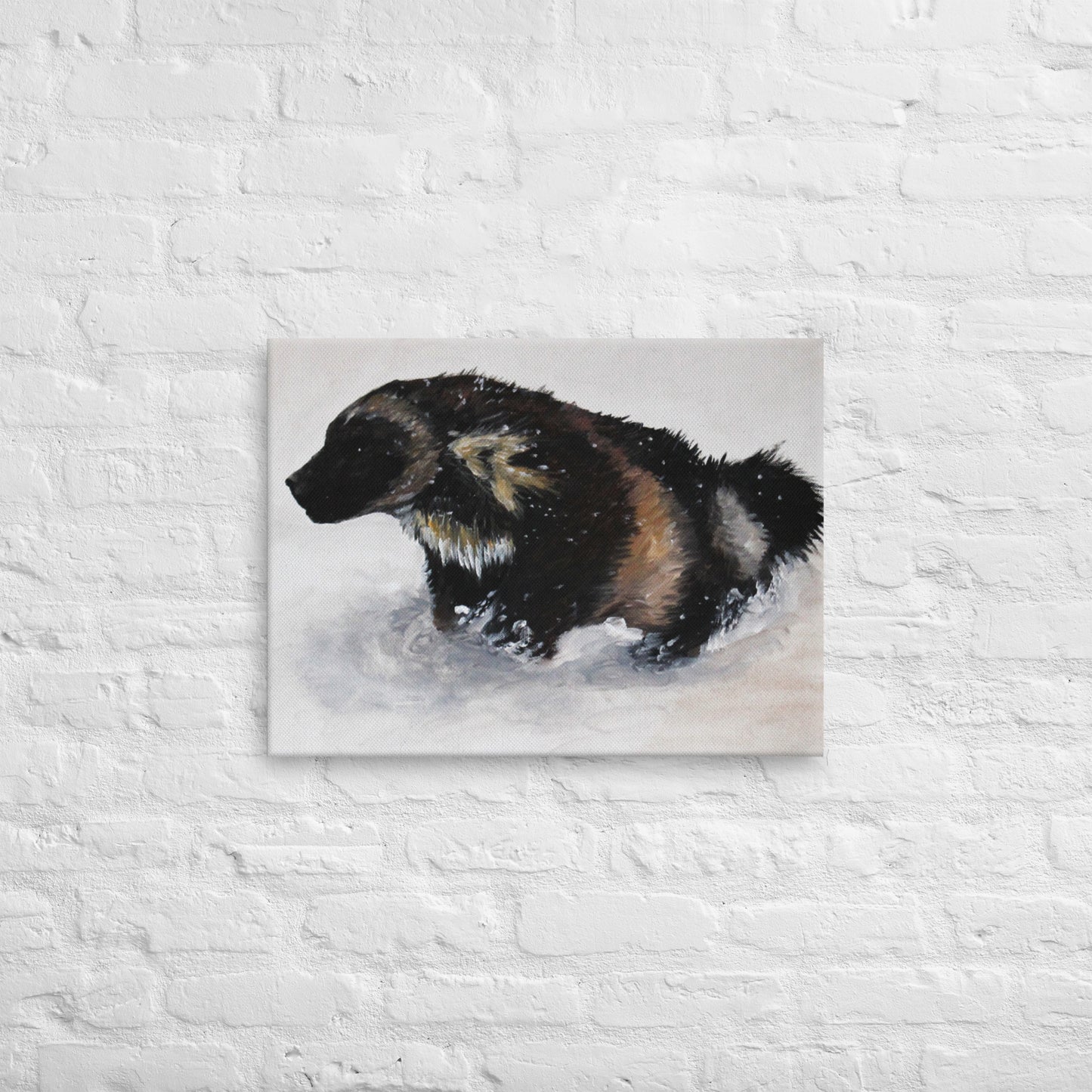 Snow Wolverine Thin canvas