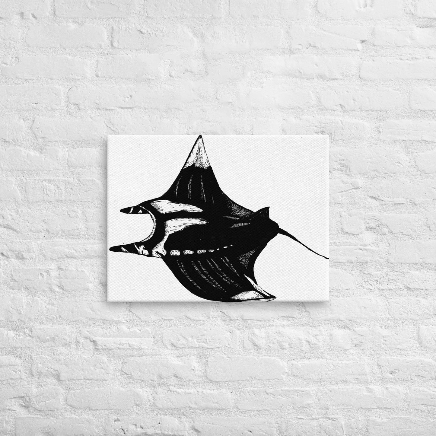 Manta Ray Thin canvas