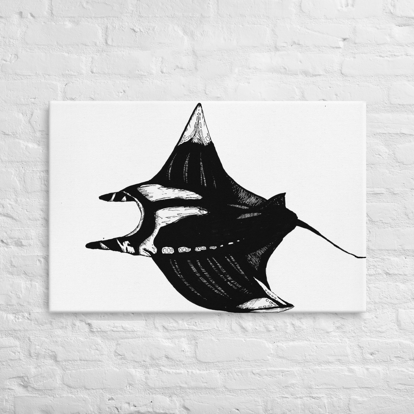 Manta Ray Thin canvas